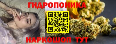 герыч Кингисепп